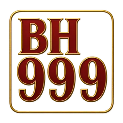 bh999 logo